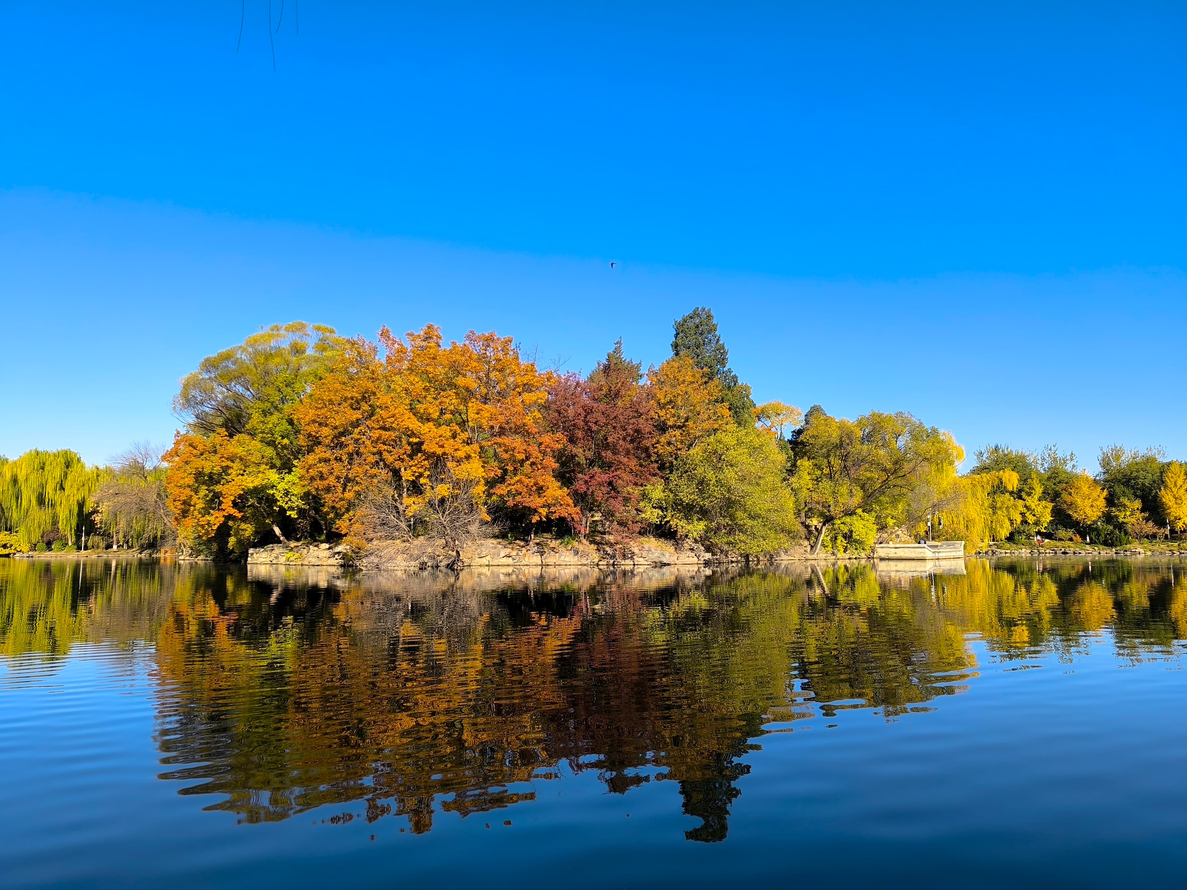 Peking University · Weiming Lake