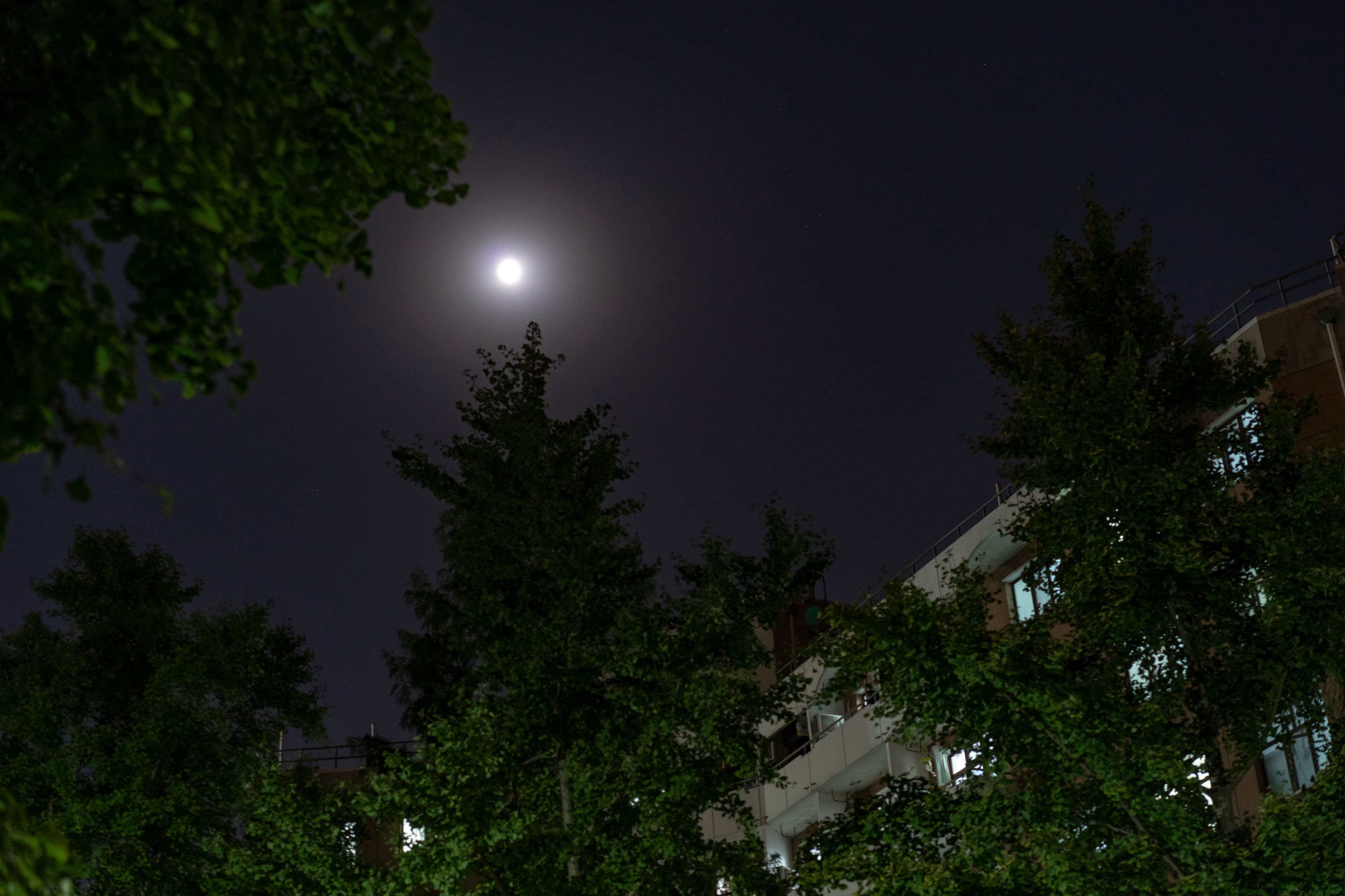 Tsinghua · Mid-Autumn Night